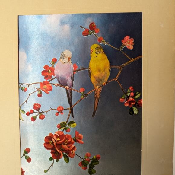 Foil Art Bird Lot Two (2) Signed F. Osborne Vintage B Parakeet Magnolias Floral2 - Picture 9 of 16